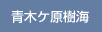 青木ヶ原樹海