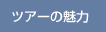 富士登山ツアーの魅力