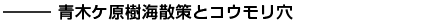 青木ケ原樹海散策とコウモリ穴