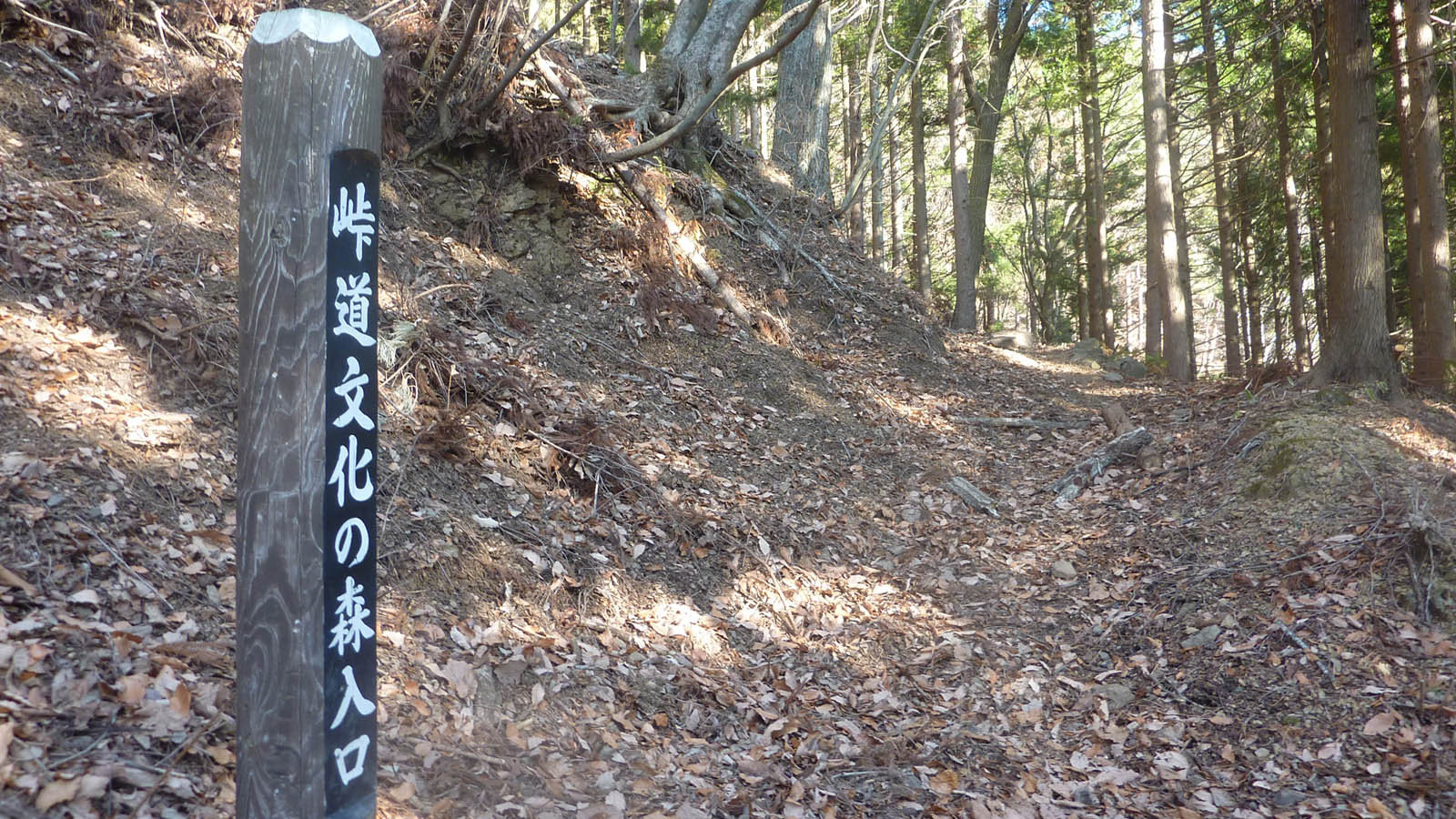 山梨百名山・黒岳