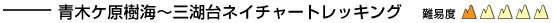 青木ケ原樹海～三湖台ネイチャートレッキング